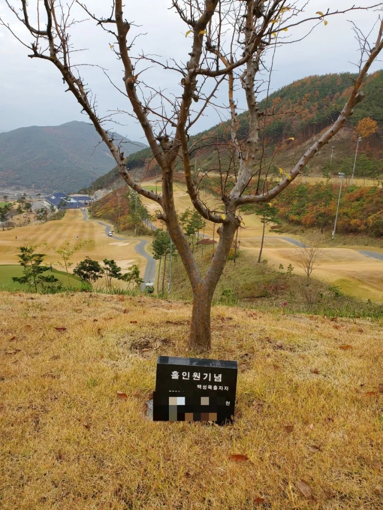 홀인원클럽 이미지