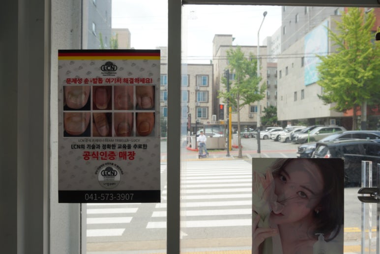 네일;하리다 이미지