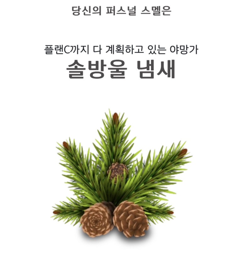 다래분식 이미지