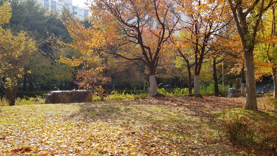 삼호건축설비 이미지