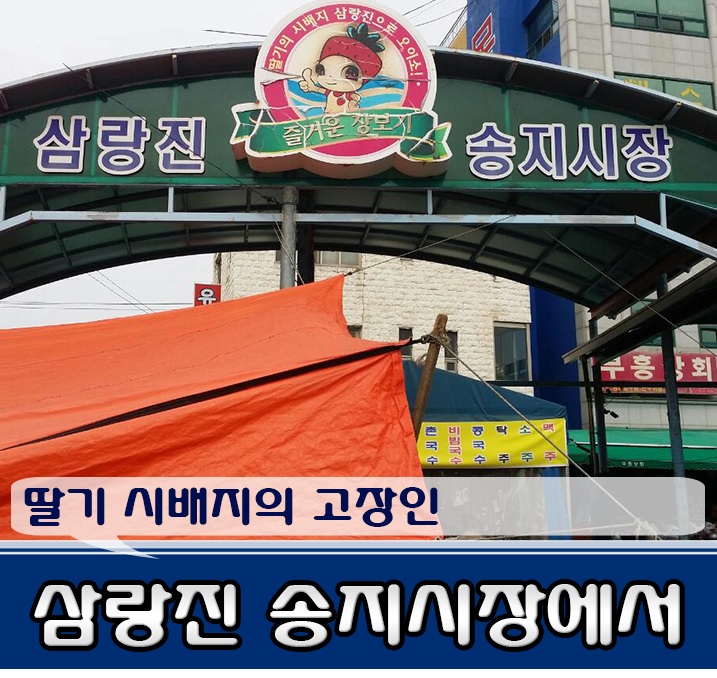 숲속의과수원 이미지