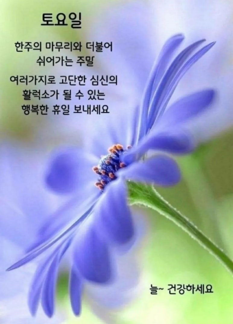 에이스환경 이미지