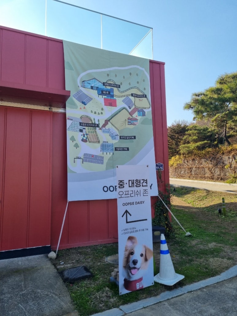 오프더데이지 이미지
