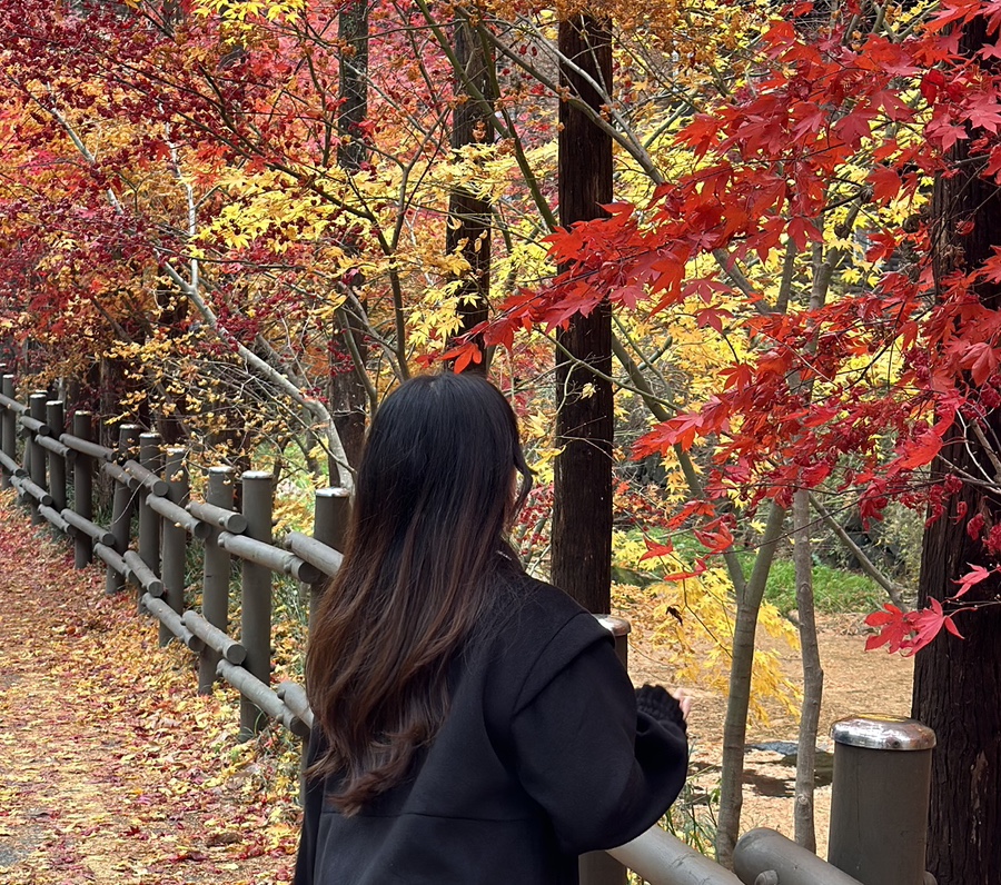제이로아 이미지