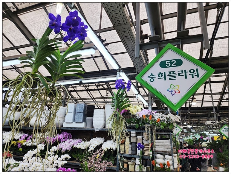 승희플라워 이미지
