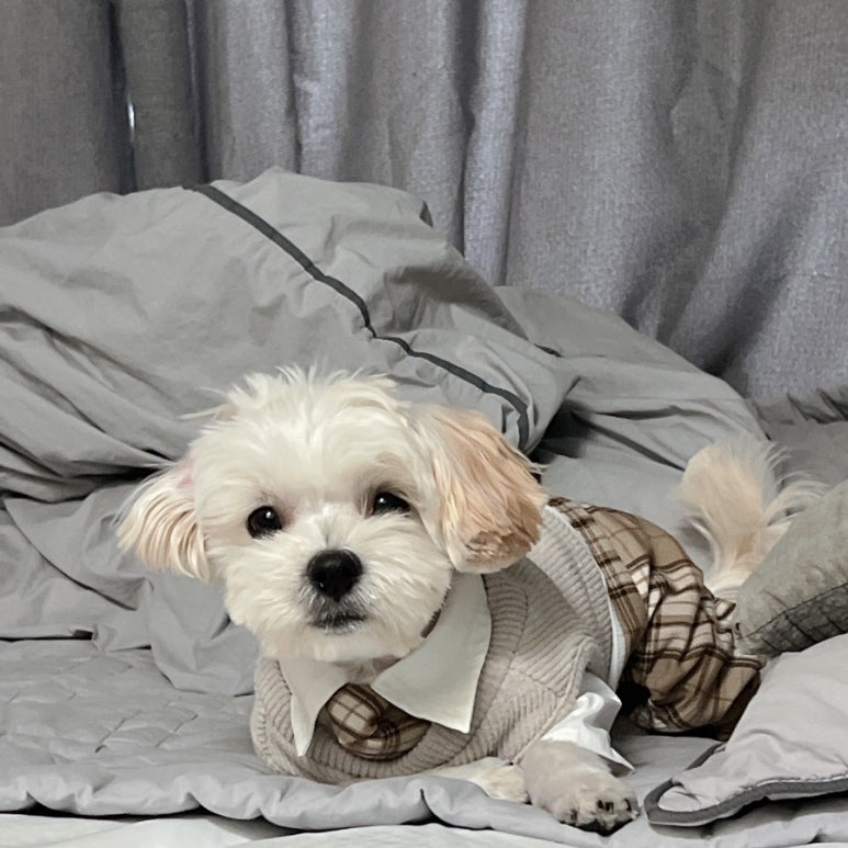 후니필름 이미지
