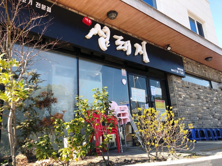 섬돼지 이미지