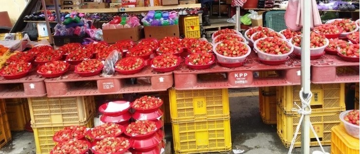 숲속의과수원 이미지