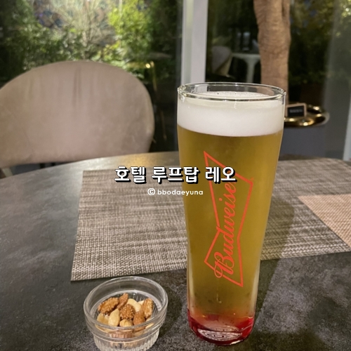 루프탑레오 이미지