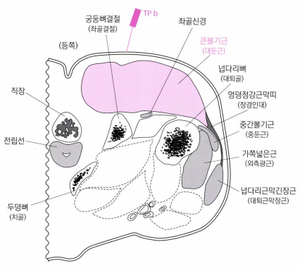 대실365한의원 이미지