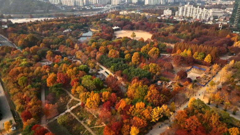 용문상회 이미지