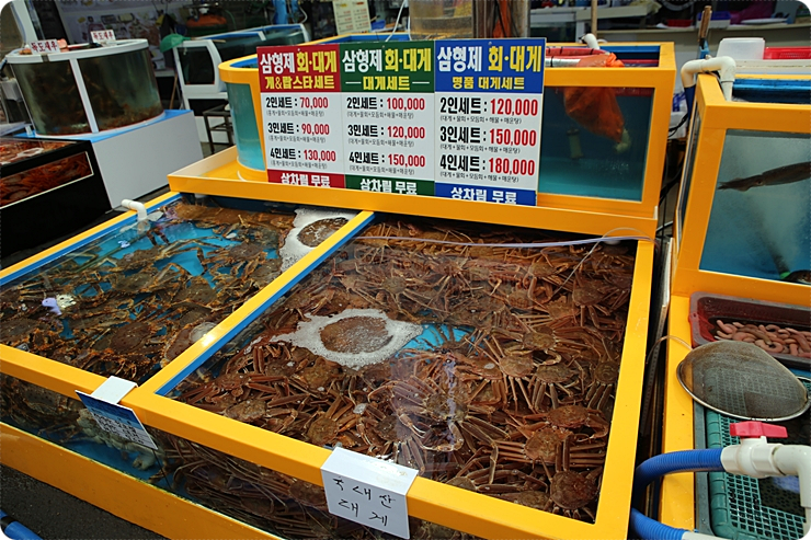 포항죽도횟집 이미지