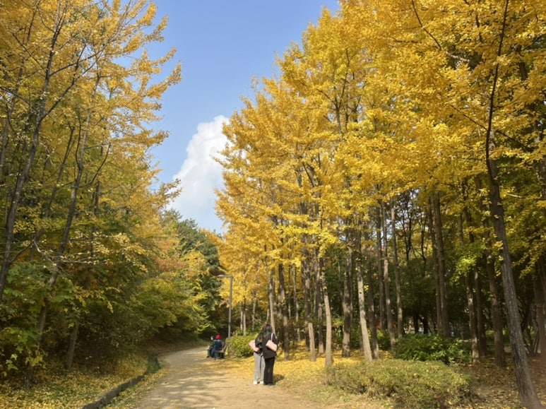 (주)바림 이미지