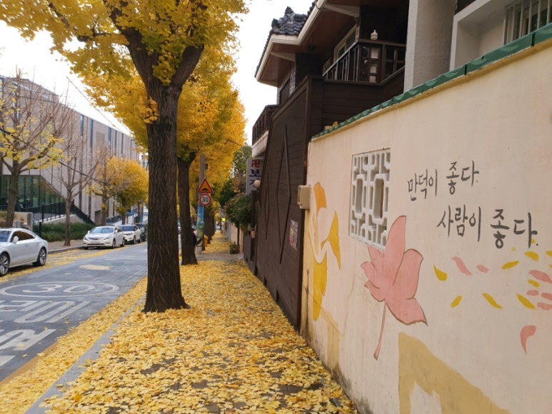 진향분식 이미지