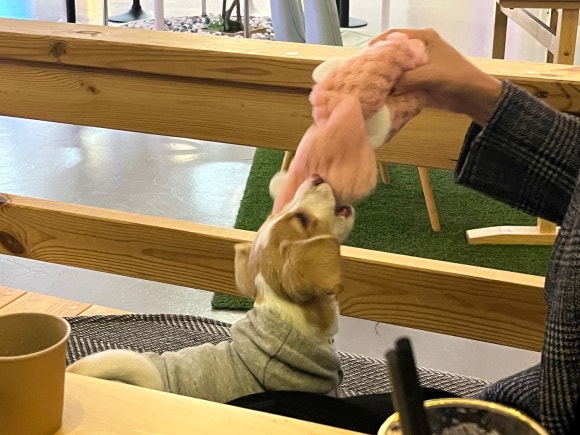 당진카페 이미지