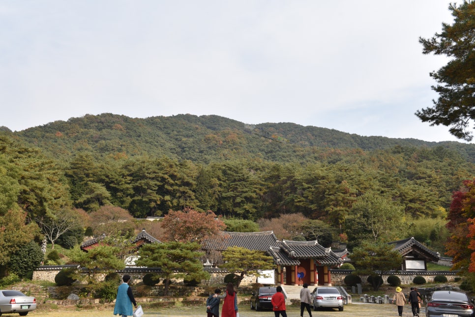 (주)여행아이 이미지