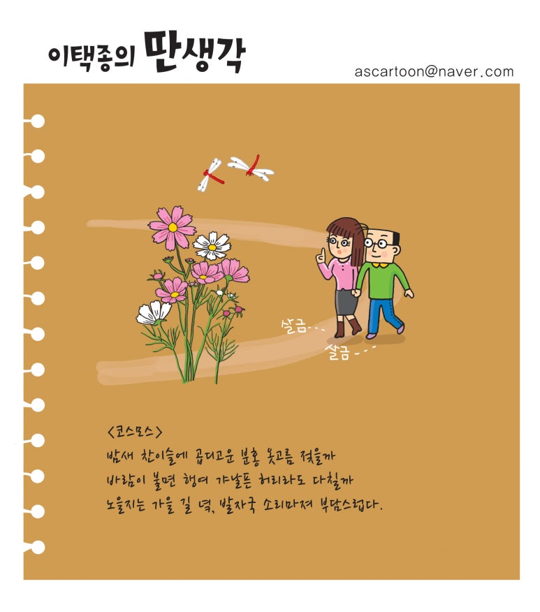 뉴스다임 이미지