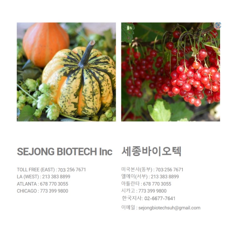 세종바이오텍 이미지