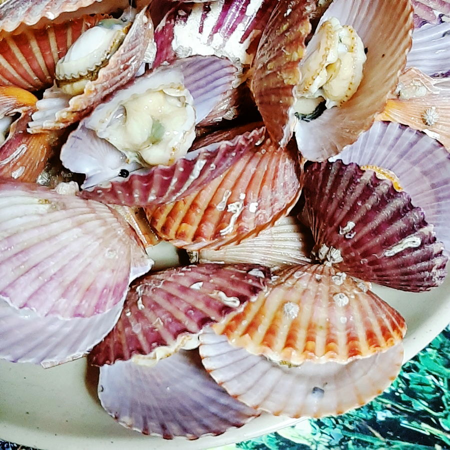 (주)정석건강 이미지
