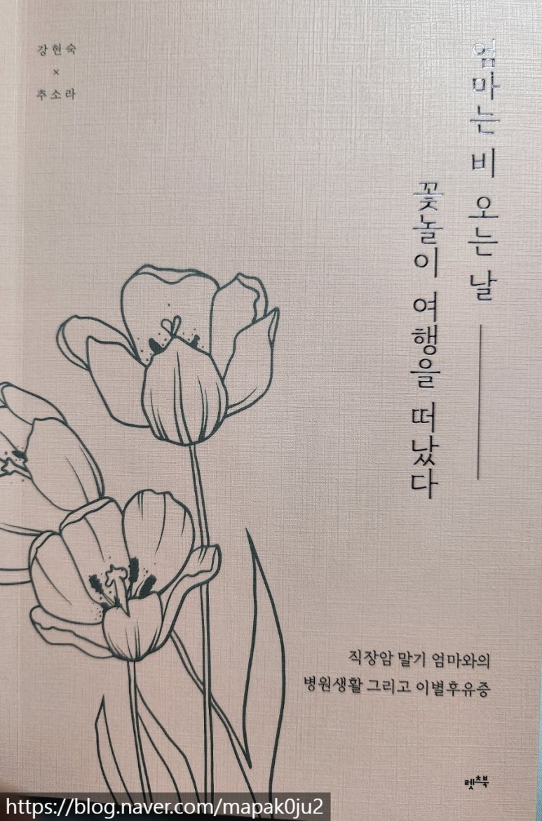 엄마의북꽃놀이 이미지
