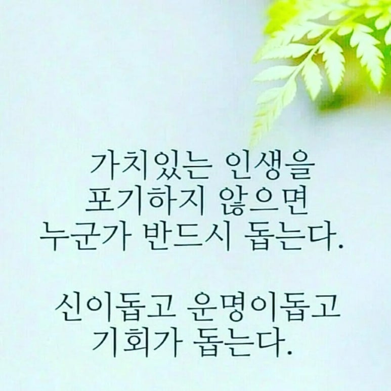 쉼앤다이어트 이미지