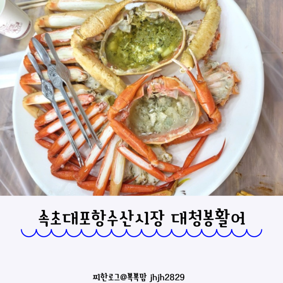 대청봉활어센터 이미지