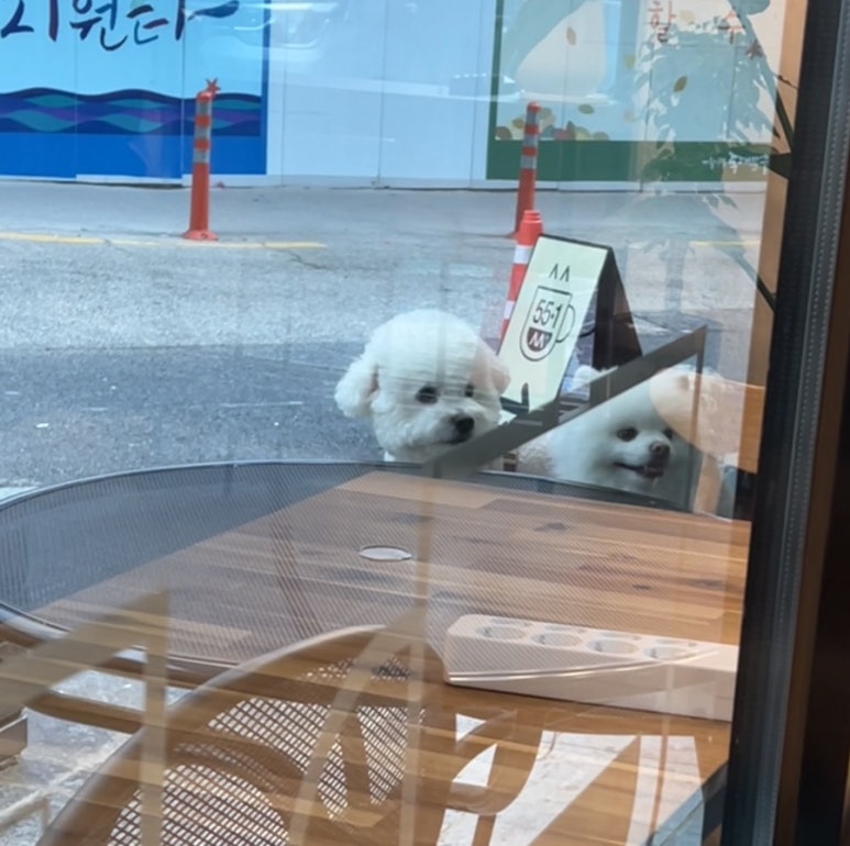 카페55-1 이미지