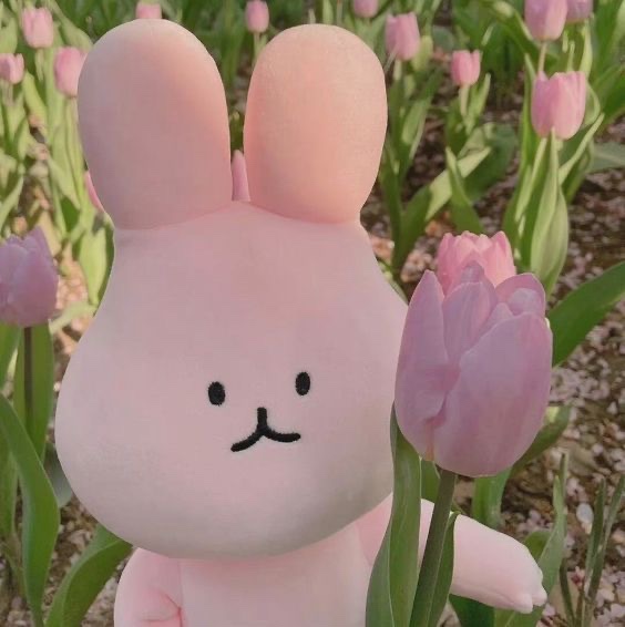 (주)서영 이미지
