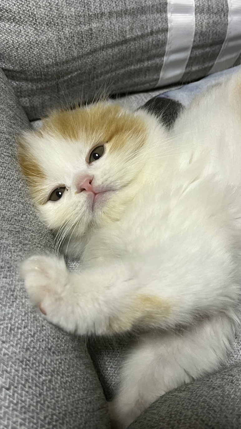 진원미면옥 이미지