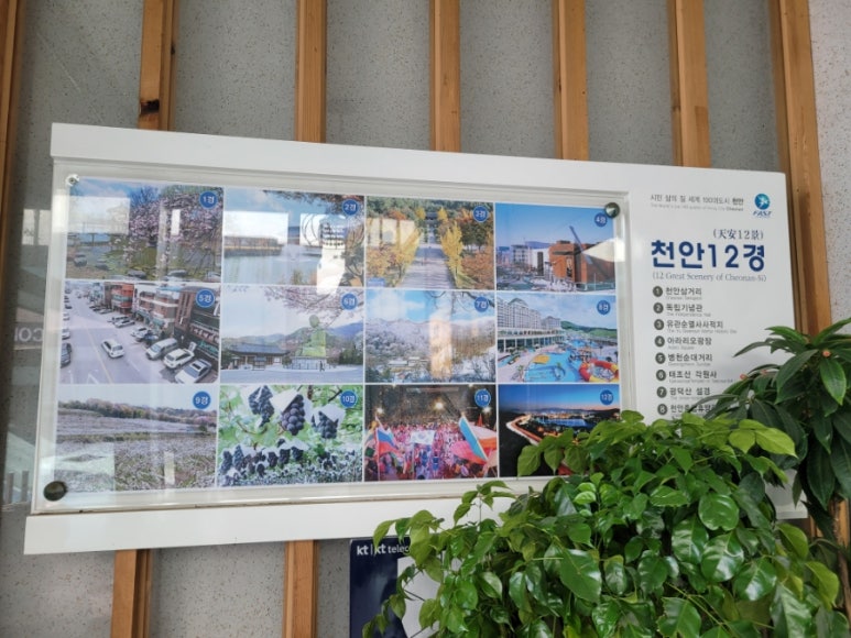 파리바게뜨천안병천점 이미지