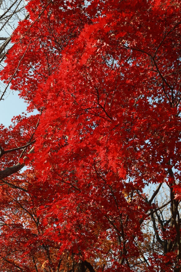한국도로공사 동서울지사 이미지