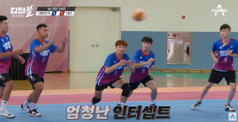 청포유 이미지