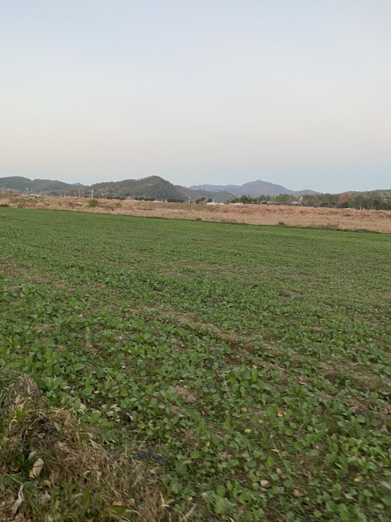 돈드림병천순대 남평점 이미지