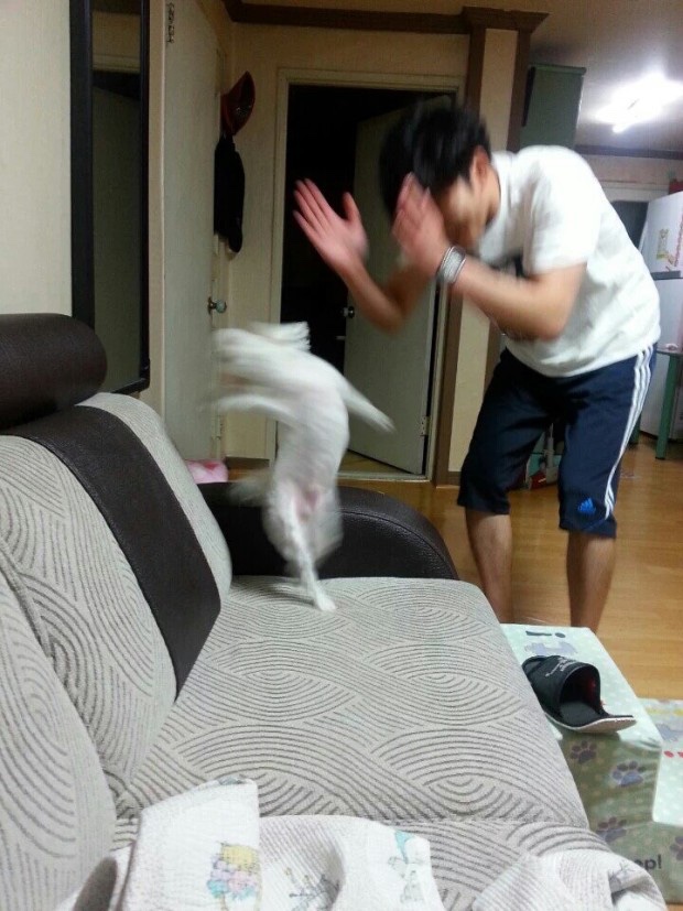 빙수도사 이미지