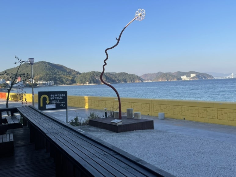 더꽃 이미지