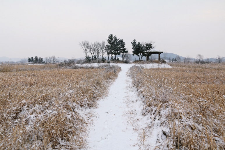 다사랑내과의원 이미지