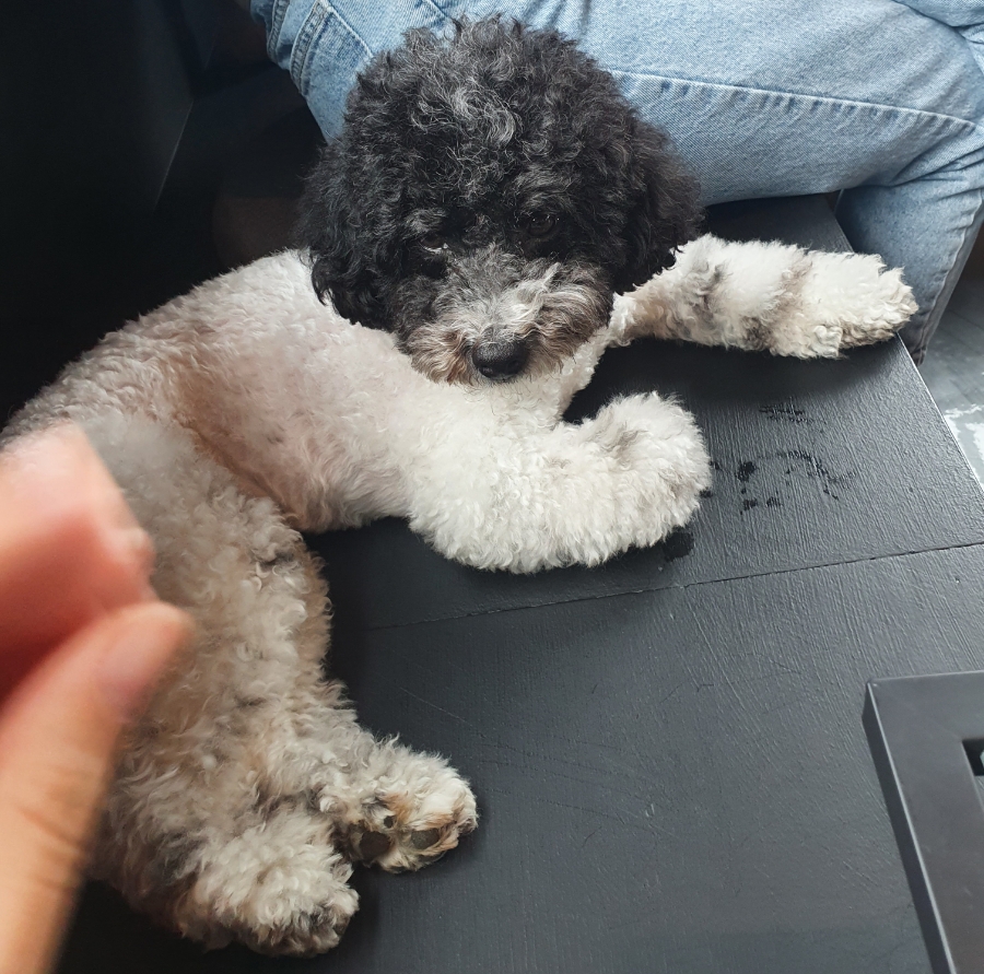 바이더폰드 이미지
