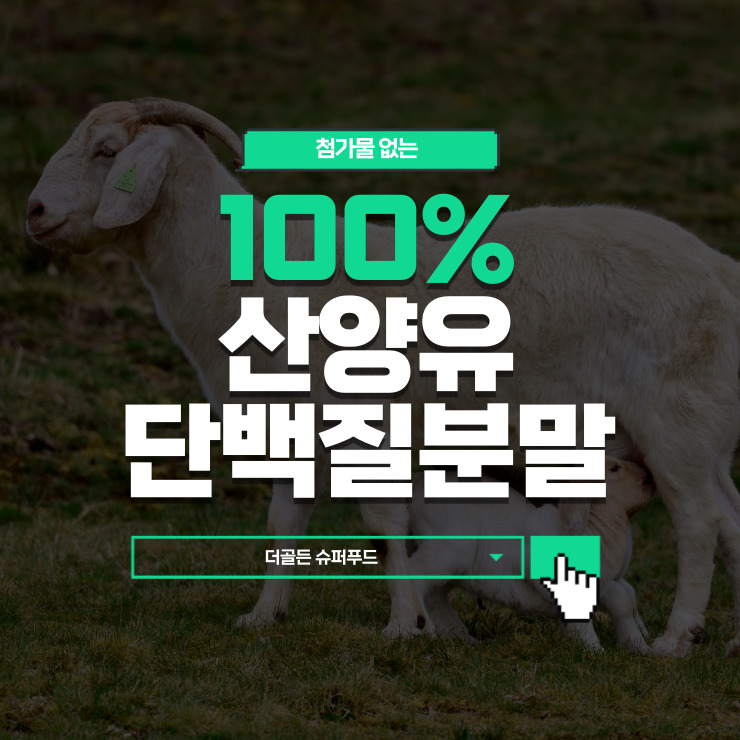 더골든 슈퍼푸드 이미지