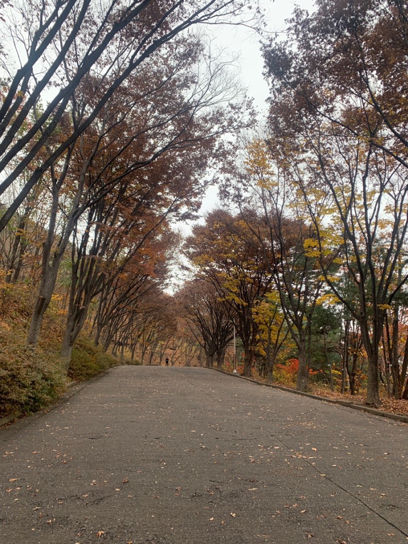 김호두 이미지
