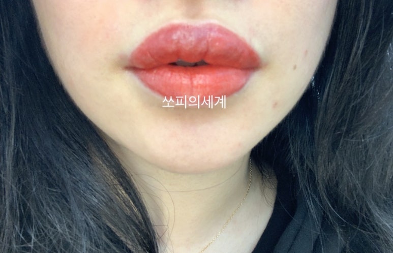 쏘피의 세계 이미지