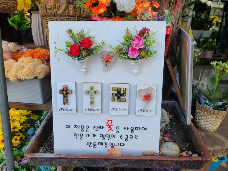 나리수선 이미지