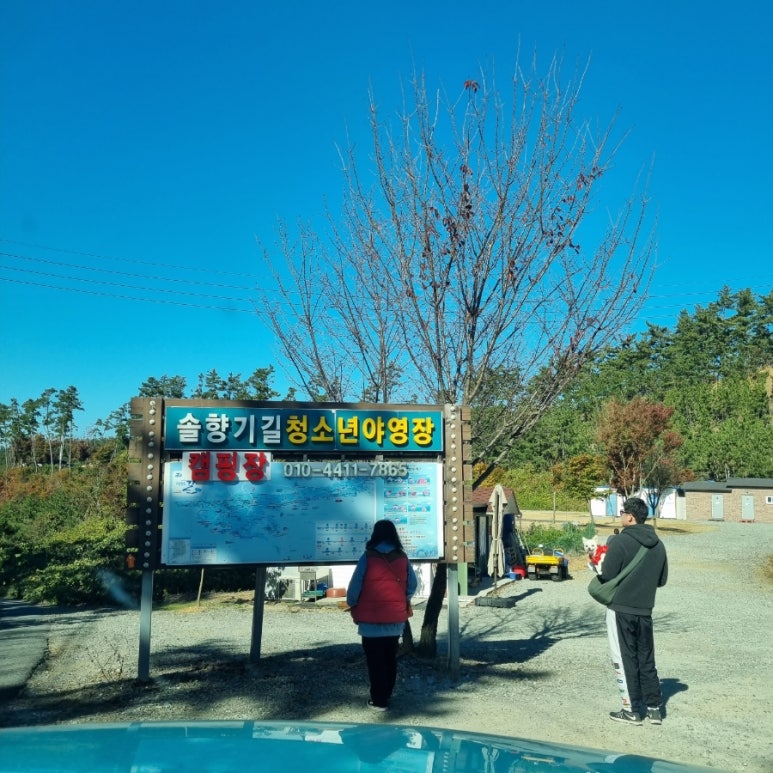솔향기길청소년야영장 이미지