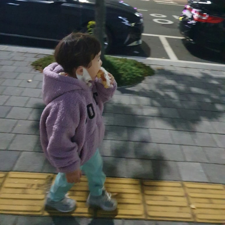 도마샌드 이미지