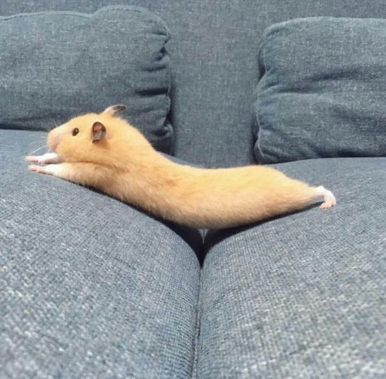 해어름 이미지
