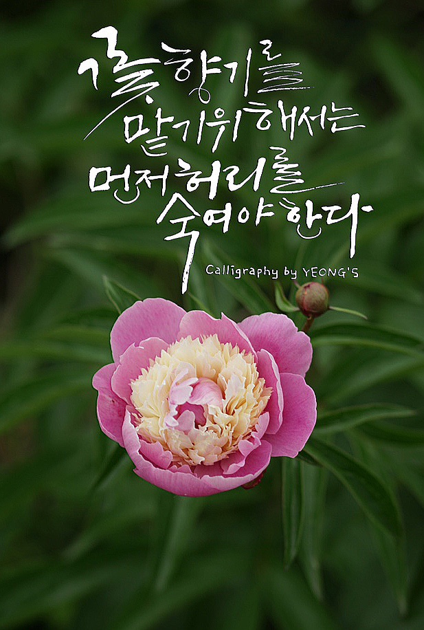 온유인력 이미지