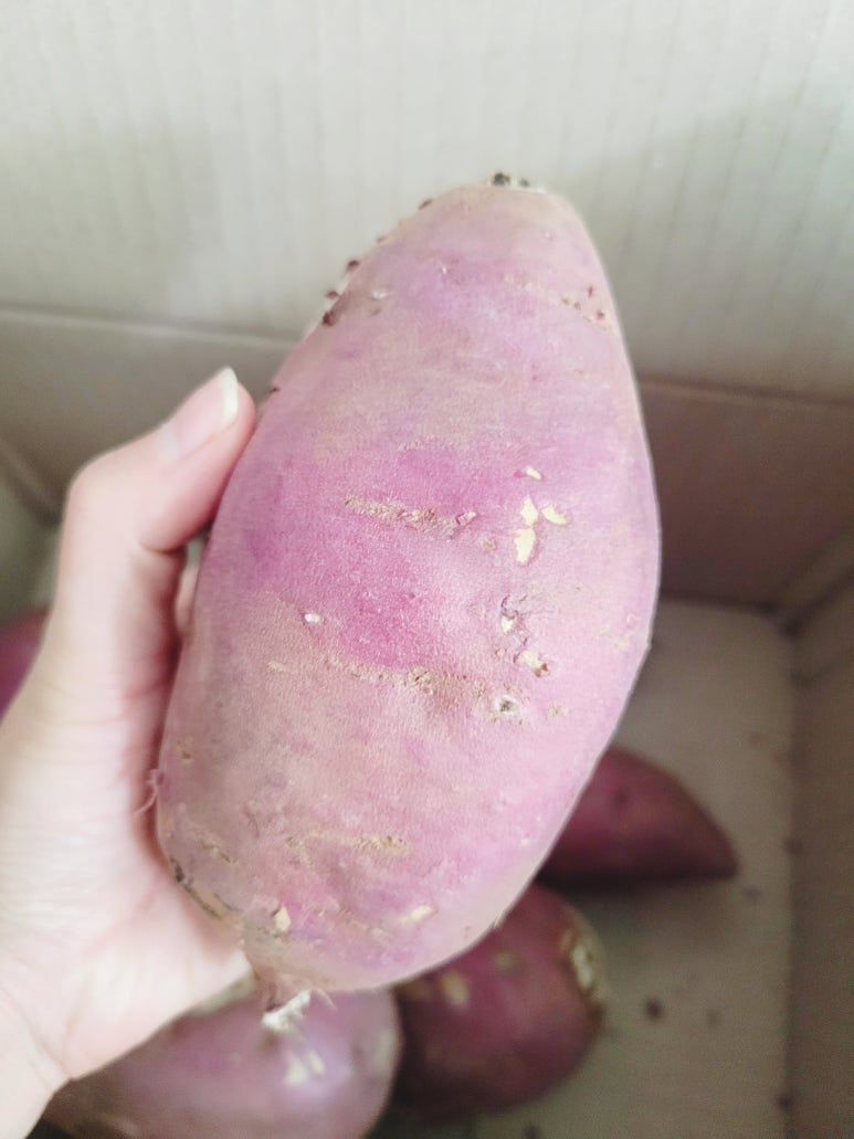 사계절농산 이미지