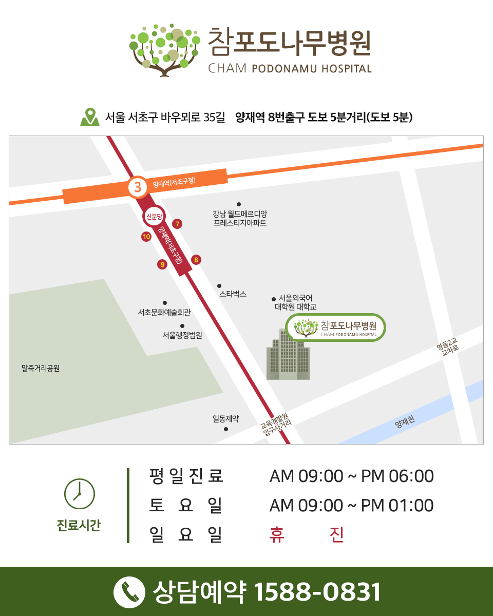 참포도나무병원 이미지