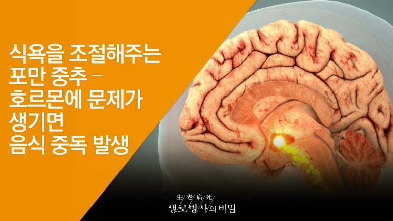 디엠짐 이미지