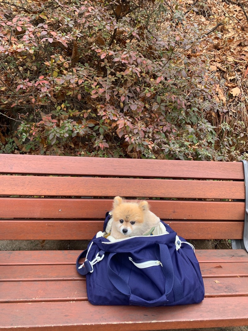 김호두 이미지