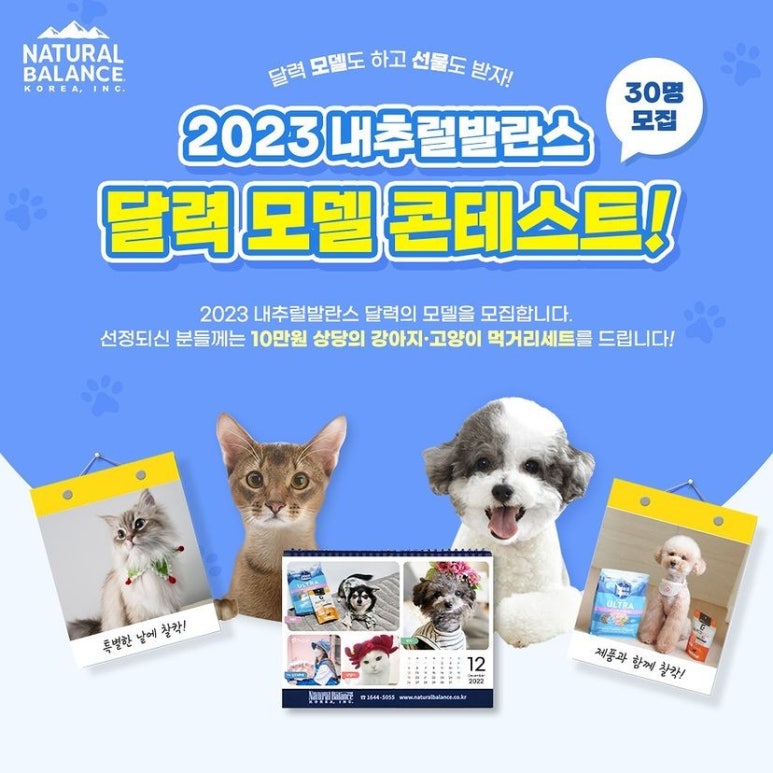 발란스9 이미지
